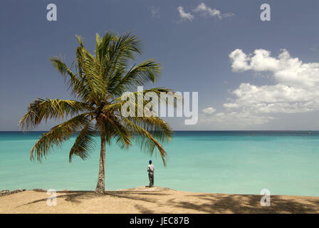 The small Antilles, Barbados, Silver Sand, beach, palm, man, back view, the Caribbean, island, Caribbean island, coast, beach, sandy beach, palm beach, person, local, stand, enjoy sea view, leisure time, vacation, rest, silence, destination, tourism, horizon, width, distance, cloudy sky, Stock Photo