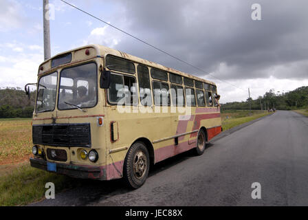 Cuba, Vinales, roadside, coach, the Caribbean, island, street, traffic, bus, school bus, transportation of human beings, transport, traffic facility, icon, destination, tourism, vehicle, old, rusty, broken, neglectedly, Stock Photo