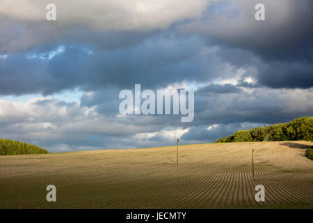 South Downs National Park under Dramatic Sky Stock Photo