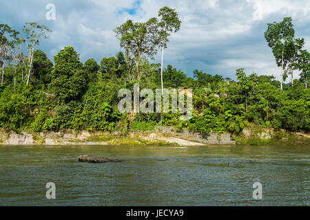 Rio Napo in Misahualli, Amazon, Ecuador Stock Photo