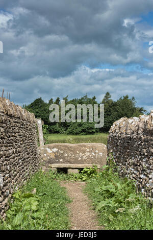 Stone stile along the d'arcy dalton way. Filkins, Oxfordshire, England Stock Photo