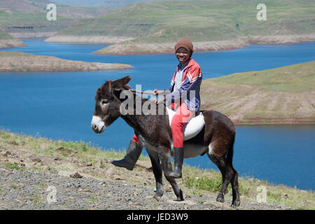 Boy on donkey Katse reservoir Lesotho Southern Africa Stock Photo