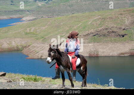 Boy on donkey Katse reservoir Lesotho Southern Africa Stock Photo