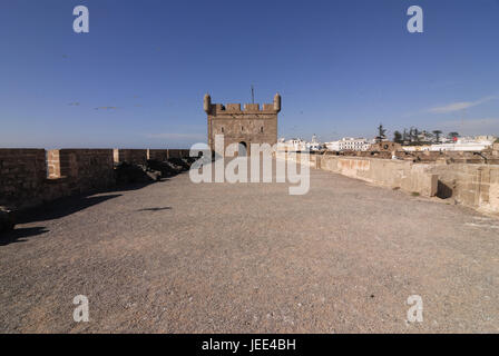 Fortress, Essaouira, Morocco, Africa, Stock Photo