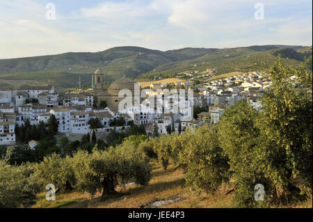 Spain, Andalusia, Montefrio, olive trees in the foreground, Stock Photo