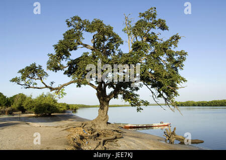 Village Sipo, river, shore, Piroge, Saloum delta, Senegal, Stock Photo