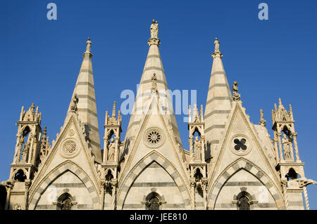 Italy, Tuscany, Pisa, church 'Santa Maria della Spina', detail, Stock Photo