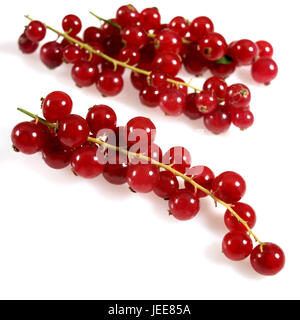 Currants, Ribes record of proceedings before judgment, fruits, white background, Stock Photo