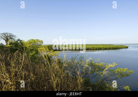 Mangroves, river scenery, Saloum delta, Senegal, Stock Photo