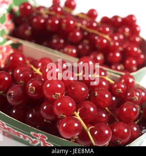 Currants, Ribes record of proceedings before judgment, fruits, white background, Stock Photo
