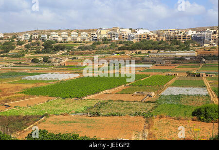 Fertile farm land in Pwales valley, St Paul's Bay, Ghajn Tuffieha, Malta Stock Photo