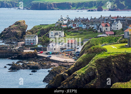 The fishing village of St Abbs seen from the southern side of St Abb's Head, Berwickshire, Scotland, UK Stock Photo