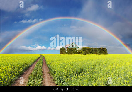 Rural landscape with rainbow over blooming field and house Stock Photo