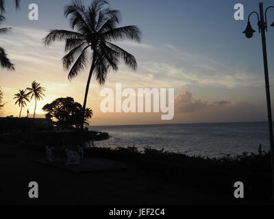 Palm Tree Sunset Stock Photo