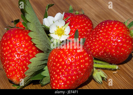 Strawberries, decoration, Fragaria, rose plant, Erdbeeren, Dekoration, Rosengewaechs Stock Photo