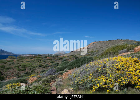 Attika is a peninsula or a historical scenery in medium Greek's country with the principal place Athens. Today in her lies the Greek region of Attika. Stock Photo