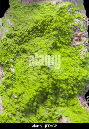 Autunite mineral from France Stock Photo
