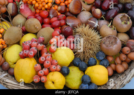 Different fruit kinds, wild fruits, detailed admission,, Verschiedene Obstsorten, Wildfruechte, Detailaufnahme, Stock Photo