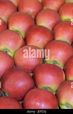 Apple, Malus domestica KANZI , Apfel (Malus domestica KANZI) Stock Photo