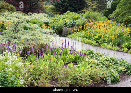 RHS Harlow Carr garden borders in june. Harrogate, UK Stock Photo