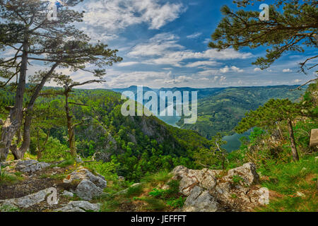 High-Resolution Panorama from Banjska Stena viewpoint over Drina River in Tara National Park of Serbia Stock Photo