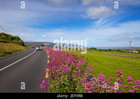 Cars on the  N67  near Muckinish Castle on the coast between Kinvarra and Ballyvaughan, Ballyvaughan, County Clare, Ireland Stock Photo