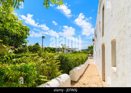 Walking alley in garden along church wall in Sant Carles de Peralta village, Ibiza island, Spain. Stock Photo
