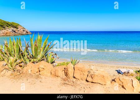 View of Cala Nova beach on sunny summer day, Ibiza island, Spain Stock Photo