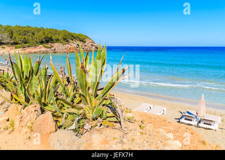 View of Cala Nova beach on sunny summer day, Ibiza island, Spain Stock Photo