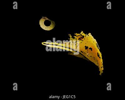 Evil predator is the eagle an American symbol on a black background. Stock Vector