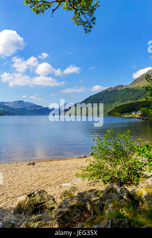 Loch Lomond at rowardennan, Summer in Scotland, UK Stock Photo