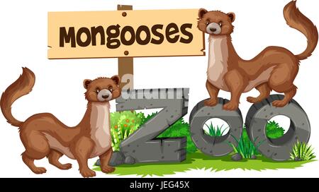 Mongooses standing on zoo sign illustration Stock Vector