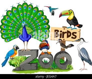 Different kinds of birds in the zoo illustration Stock Vector