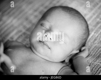 Newborn baby tightly sleeps black and white photo Stock Photo