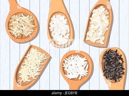 Different types of rice in wooden spoons. Basmati, wild, jasmine, long brown, arborio, sushi Stock Vector