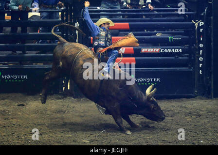 (170625) -- TORONTO, June 25, 2017 (Xinhua)-- Cowboy Justin Lloyd of Canada competes during the competition of the 2017 Professional Bull Riders (PBR) Monster Energy Canada Tour at Ricoh Coliseum in Toronto, Canada, June 24, 2017. (Xinhua/Zou Zheng)(wll) Stock Photo