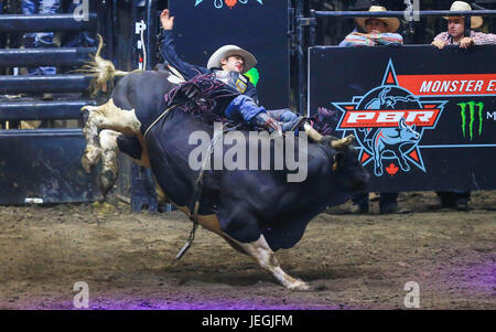 (170625) -- TORONTO, June 25, 2017 (Xinhua)-- Cowboy Tyler Harr of Australia of the United States competes during the competition of the 2017 Professional Bull Riders (PBR) Monster Energy Canada Tour at Ricoh Coliseum in Toronto, Canada, June 24, 2017. (Xinhua/Zou Zheng)(wll) Stock Photo