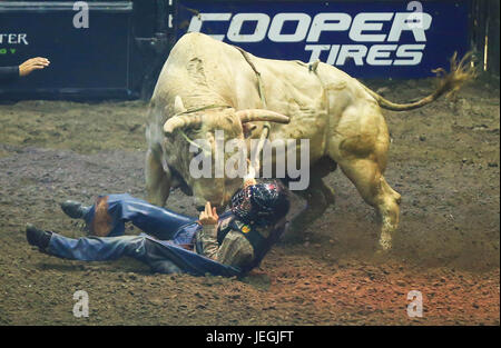 (170625) -- TORONTO, June 25, 2017 (Xinhua)-- Cowboy Lachlan Richardson of Australia falls off a bull during the competition of the 2017 Professional Bull Riders (PBR) Monster Energy Canada Tour at Ricoh Coliseum in Toronto, Canada, June 24, 2017. (Xinhua/Zou Zheng)(wll) Stock Photo