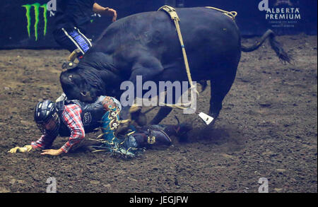 (170625) -- TORONTO, June 25, 2017 (Xinhua)-- Cowboy Nick Goncalves of Canada falls down off a bull during the competition of the 2017 Professional Bull Riders (PBR) Monster Energy Canada Tour at Ricoh Coliseum in Toronto, Canada, June 24, 2017. (Xinhua/Zou Zheng)(wll) Stock Photo