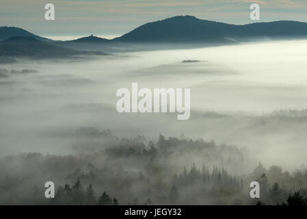 Black Forest, nebulous mood, Schauinsland,, Schwarzwald, Nebelstimmung Stock Photo