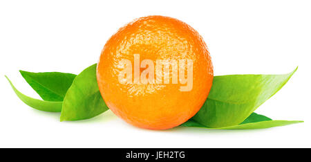 Isolated citrus fruit. One whole tangerine or mandarin orange fruit isolated on white background with clipping path Stock Photo