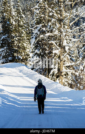 Female walking along snow covered road with snow covered trees; Invermere, British Columbia, Canada Stock Photo