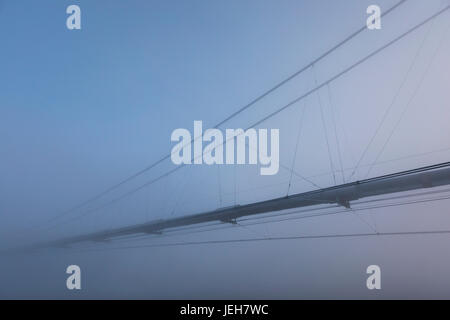 The Trans-Alaska Pipeline appears through fog where it crosses the Tanana River on a subzero morning; Alaska, United States of America Stock Photo