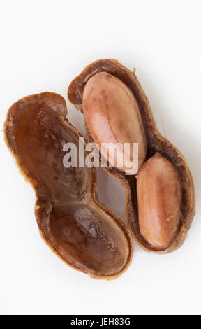 A half open boiled peanut on white background; Honolulu, Oahu, Hawaii, United States of America Stock Photo