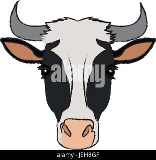 cow head horns aminal rural farm Stock Vector