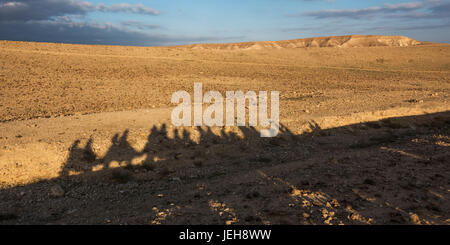 Shadows of tourists riding camels in a row and a landscape of the Judaean desert; Ezor Beer Sheva, South District, Israel Stock Photo