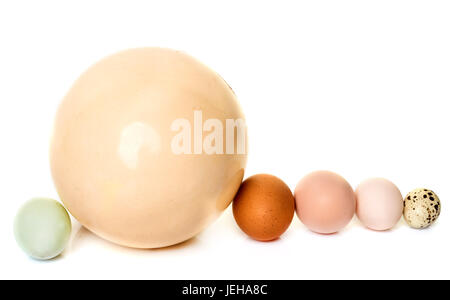 different eggs in front of white background Stock Photo