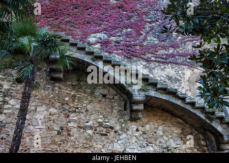 Old, narrow stairs on medieval stone wall with ivy plant in Old Town of Girona in Spain Stock Photo