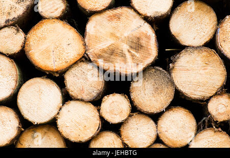 stack of log in Alps mountains Stock Photo