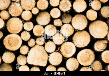 stack of log in Alps mountains Stock Photo